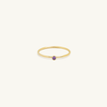 Pre Order: Gold Filled Birthstone Ring Amethyst CZ (February)